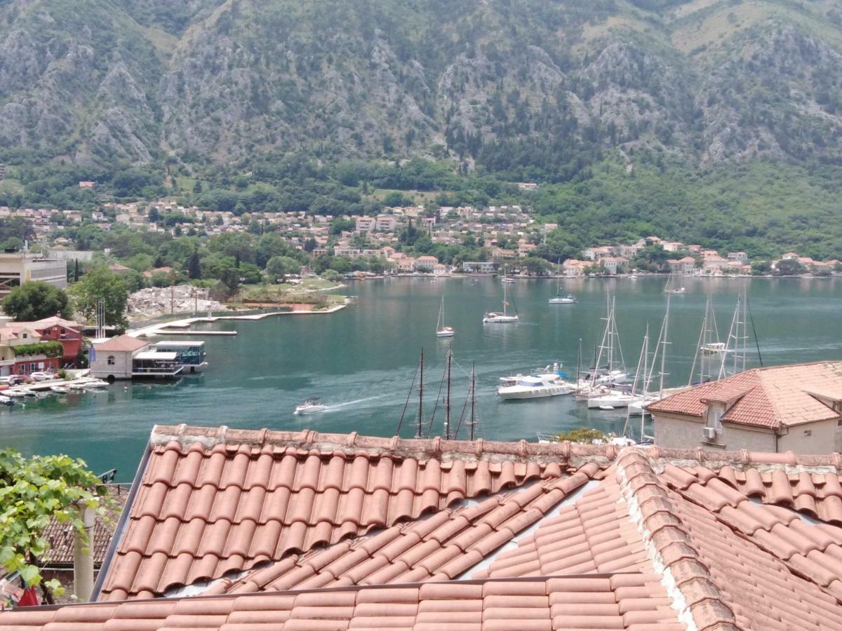 New Renovated Old Town Martiva Apartment Kotor Ngoại thất bức ảnh